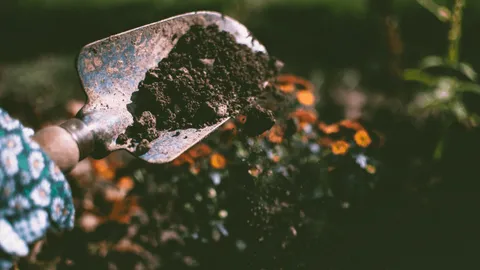 Best worm compost bin featured image