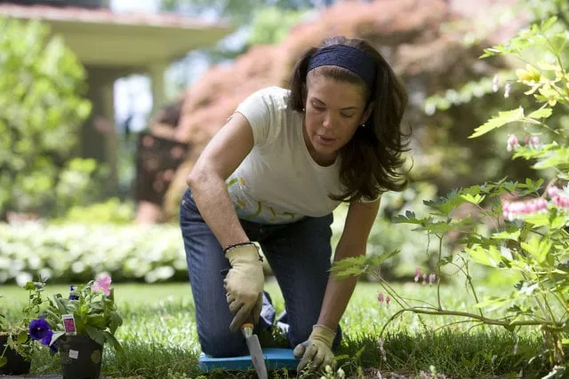 Woman applying vermicompost to plants