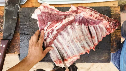 Best vacuum sealer for large items featured image
