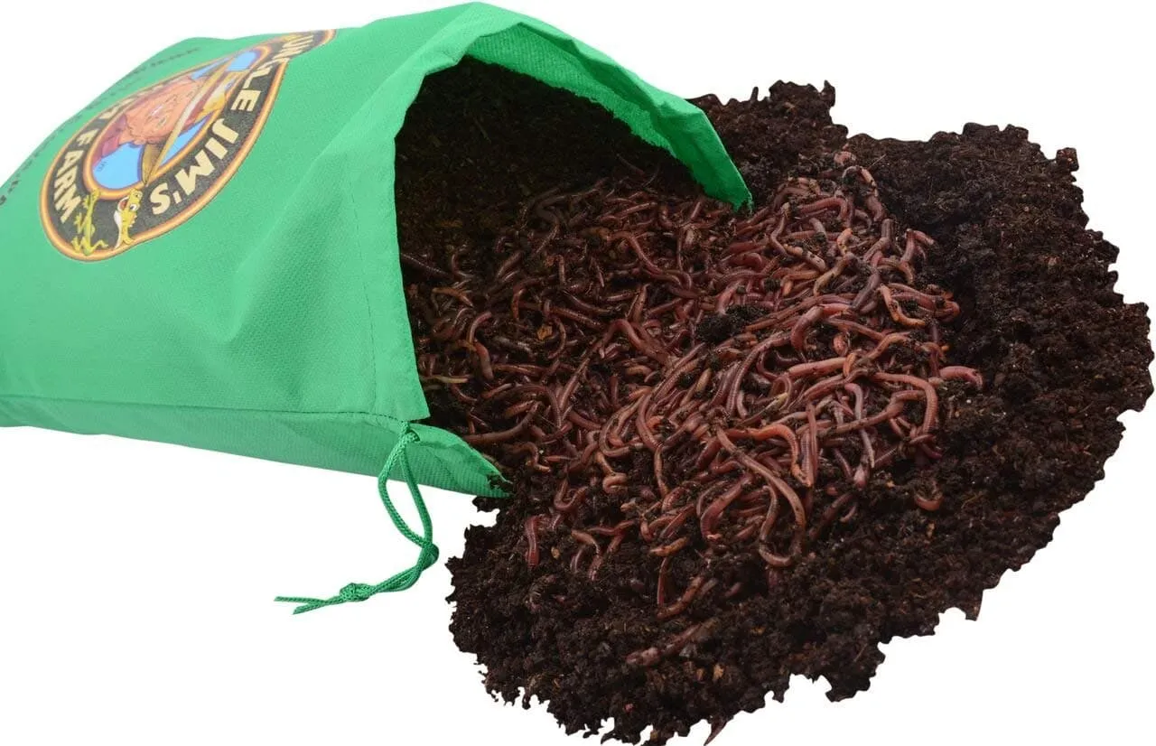 Uncle Jim’s worm farm bag of red wigglers