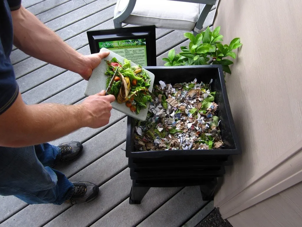 Filling the Worm Factory 360 with kitchen scraps
