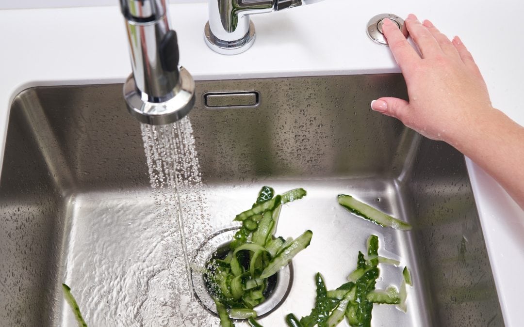 The Best Garbage Disposal + Buying Guide